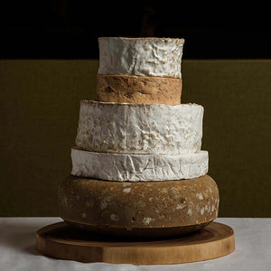 Adéle Cheese Tower - Milk the Cow Licensed Fromagerie